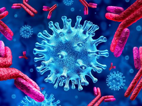Antibodies attacking viruses