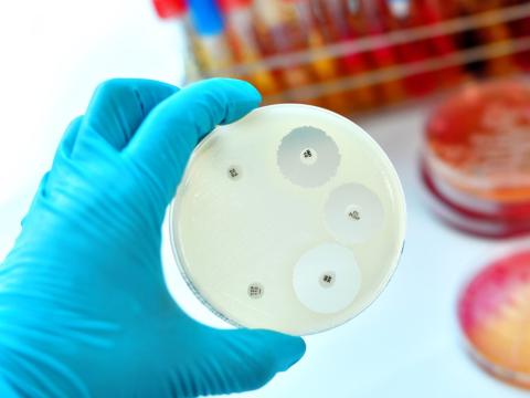 Antimicrobial susceptibility test petri dish