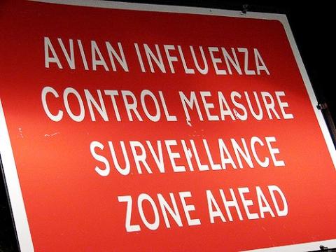 Avian influenza sign