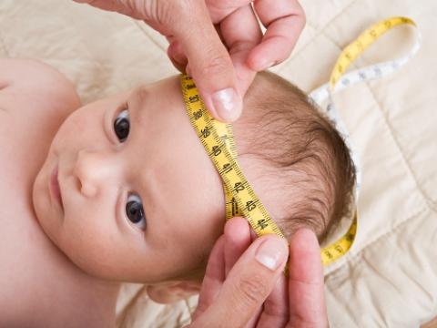 Baby head measurement
