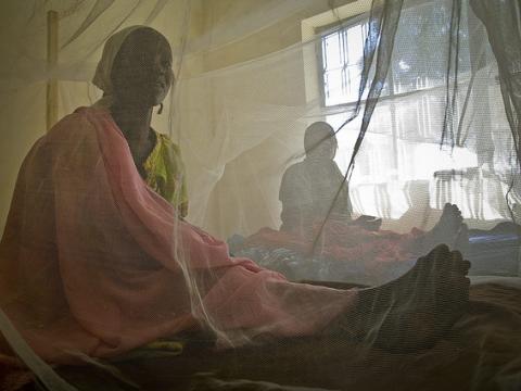 Bed net use