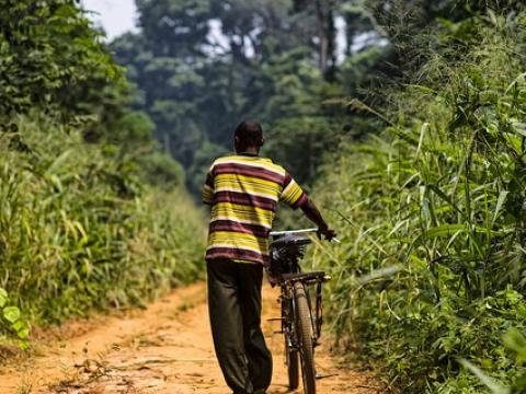 Bicycle remote DRC jungle