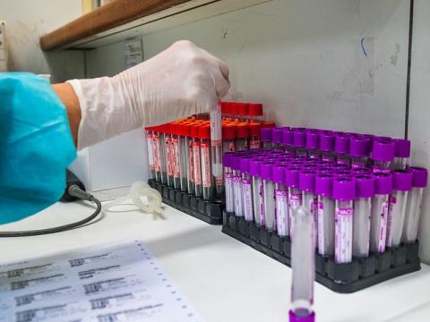 Brazil researcher