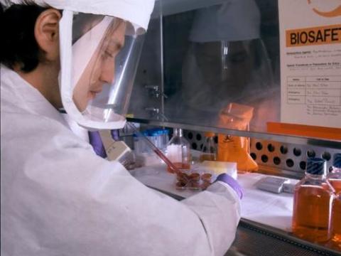 Scientist in a biosecurity level 3 lab