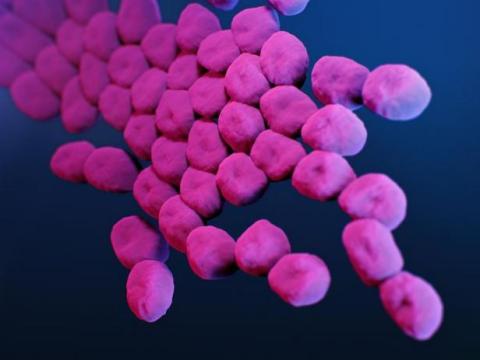 Carbapenem-resistant Acinetobacter