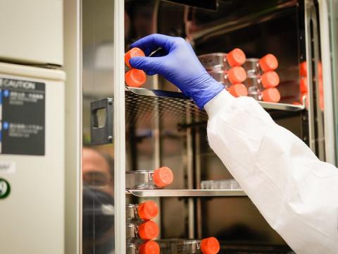 Cell culture incubator in laboratory