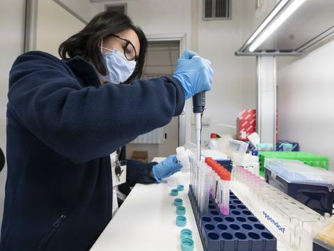 COVID-19 lab researcher pipetting