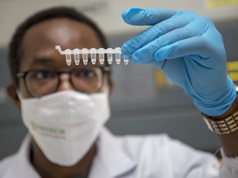 Doctor holding up COVID test samples