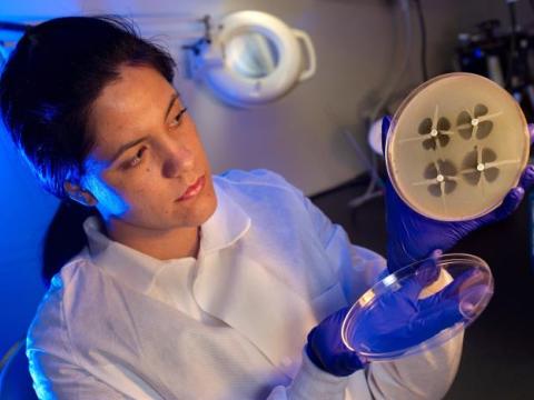 Hodge test to detect CRE