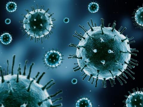 Virus