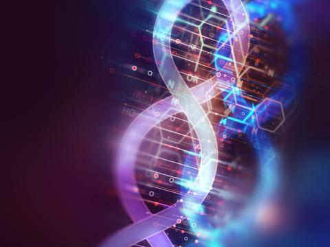 DNA molecules
