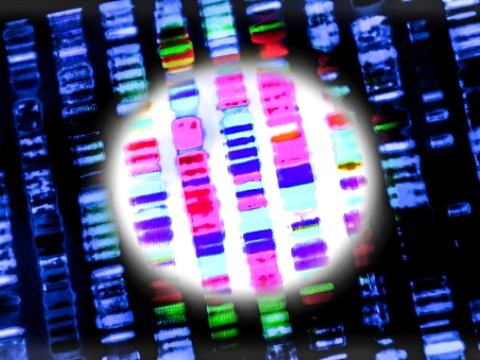 Gene sequencing
