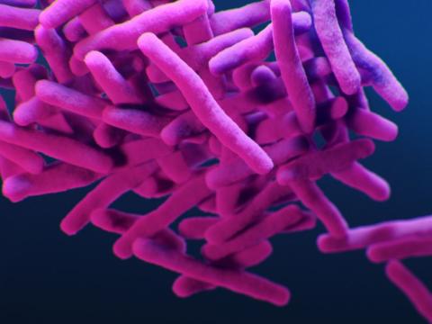 Drug-resistant tuberculosis illustration