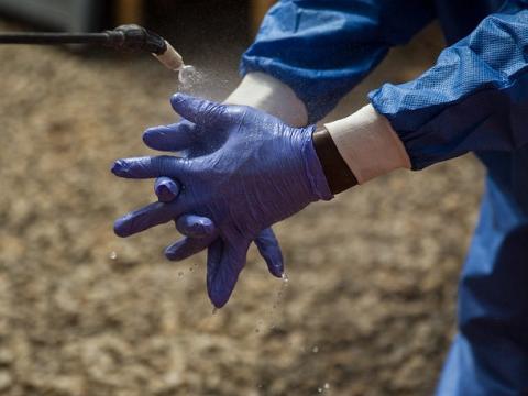 Ebola worker washing gloves