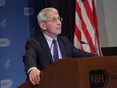 Anthony Fauci at podium