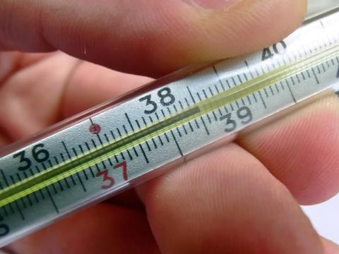 Fever thermometer