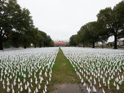 White flags representing COVID-19 deaths