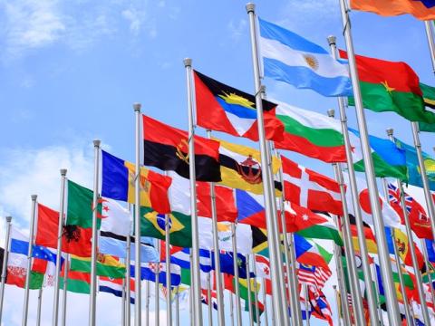 Flags of the world
