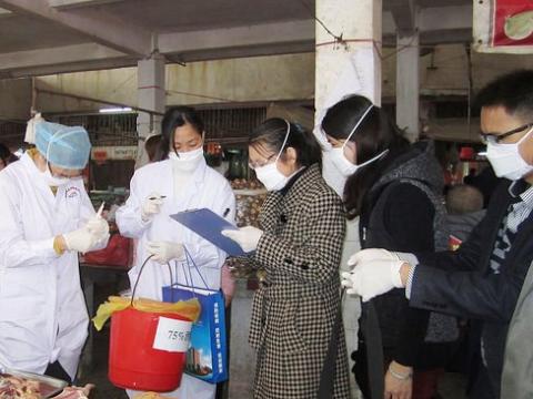 H7N9 investigators