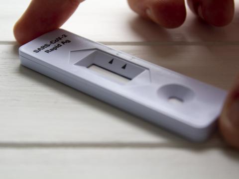 Hand holding a rapid COVID-19 test