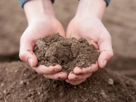 Handfuls of soil