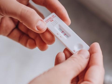 Hands holding rapid COVID-19 test