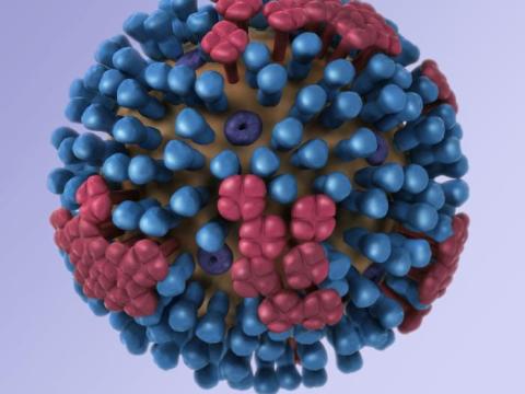 Influenza virus