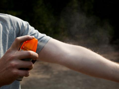 Insect repellent