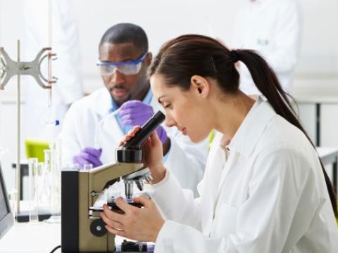 Lab technicians