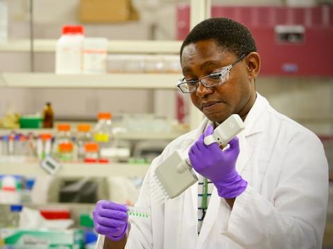 Lab scientist