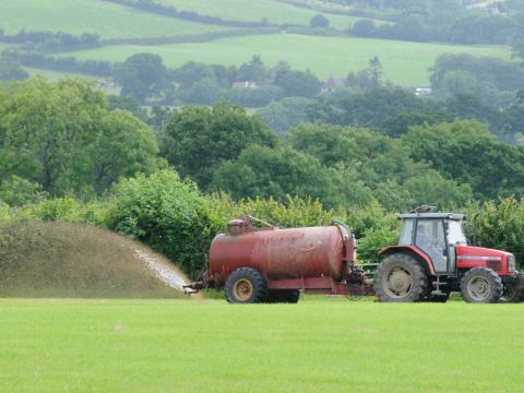 Manure spreading in field