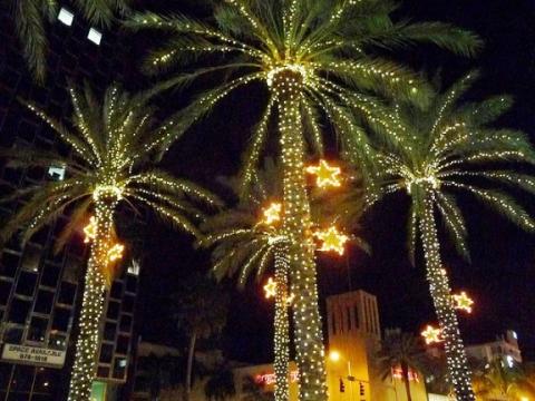 Miami Christmas