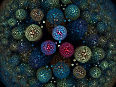Microbes