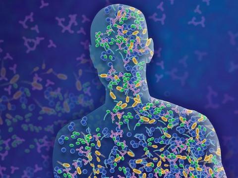 Microbiome