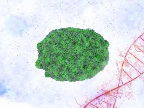 Monkeypox virus illustration