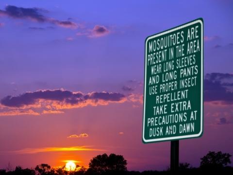 Mosquito sign
