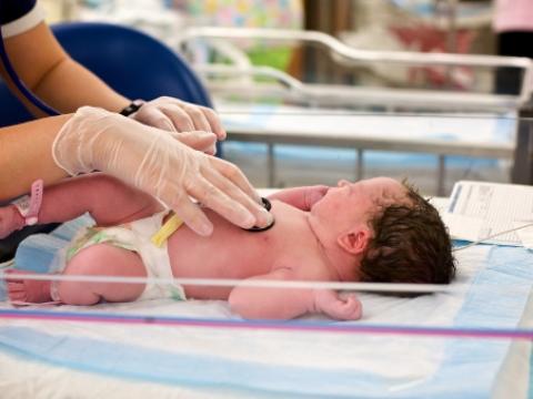 Newborn baby in hospital