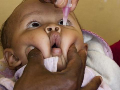 Oral polio vaccine