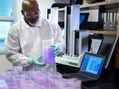 Polio antigen testing