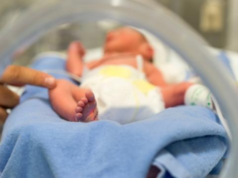 Premature baby