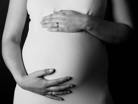 Pregnant belly