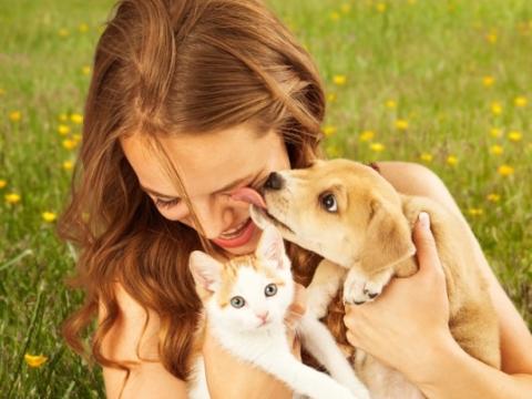 adogslifephoto / iStock
