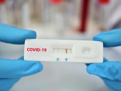 rapid test