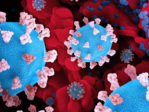 SARS-CoV-2 virus COVID-19