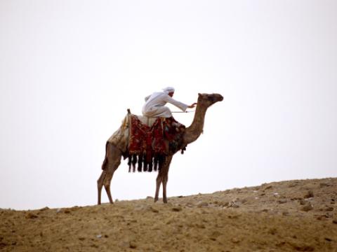 Riding a camel