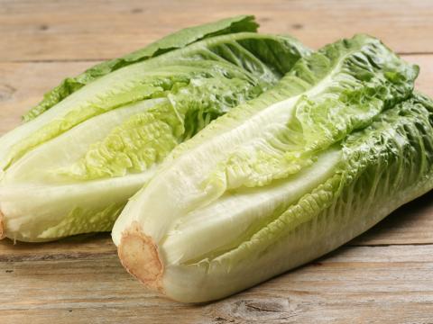Romaine heads