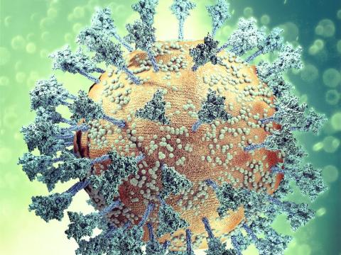SARS-CoV-2 and its spike proteins