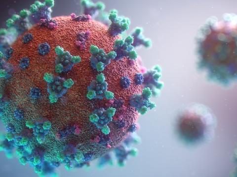 SARS-CoV-2 viruses, which cause COVID-19