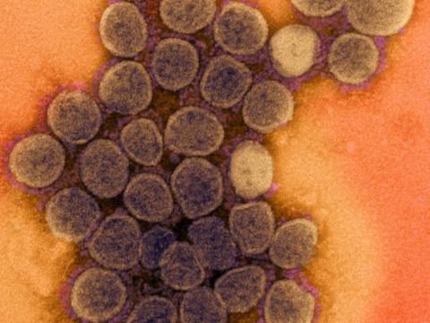 SARS-COV-2 viruses