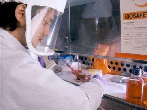 BSL-3 lab